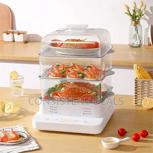 Multi-Functional Electric Steamer (24L, 3-Tier)