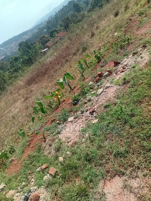 Land for Sale in Kajjansi Makadwa Kitovu - 1