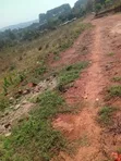 Land for Sale in Kajjansi Makadwa Kitovu - 3