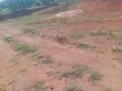 Land for Sale in Kajjansi Makadwa Kitovu - 4