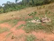 Land for Sale in Kajjansi Makadwa Kitovu - 5