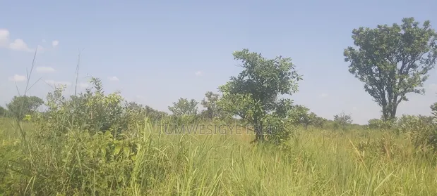 400 Acres Fertile Farmland for Sale in Pader District - 1