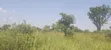 400 Acres Fertile Farmland for Sale in Pader District - 1