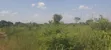 400 Acres Fertile Farmland for Sale in Pader District - 3