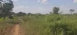 400 Acres Fertile Farmland for Sale in Pader District - 4