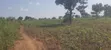 400 Acres Fertile Farmland for Sale in Pader District - 5
