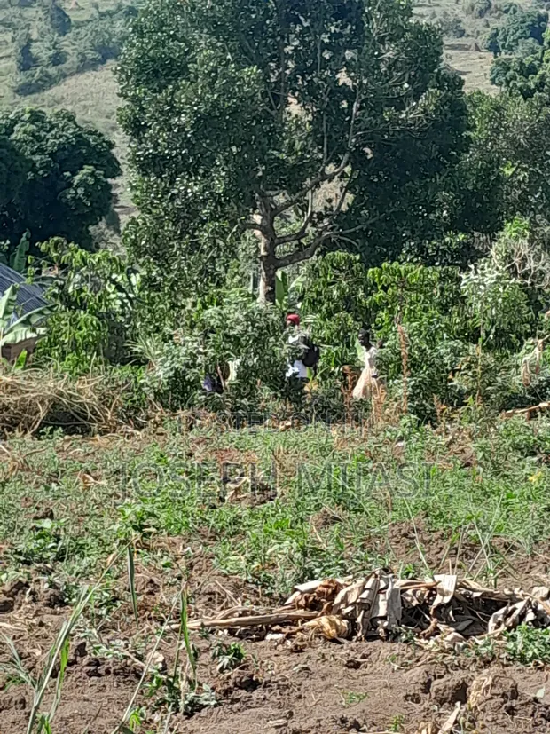 Commercial Land for Sale - Namayumba - 1