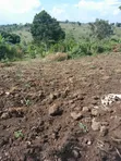 Commercial Land for Sale - Namayumba - 5