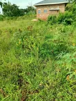 800 SQM Land for Sale - Kiyunga, Mukono - 2