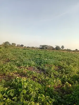 Land for Urban Farming - 4046 sqm, Wakiso