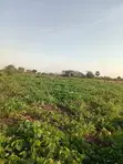Land for Urban Farming - 4046 sqm, Wakiso - 1