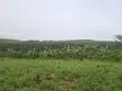 Land for Urban Farming - 4046 sqm, Wakiso - 3