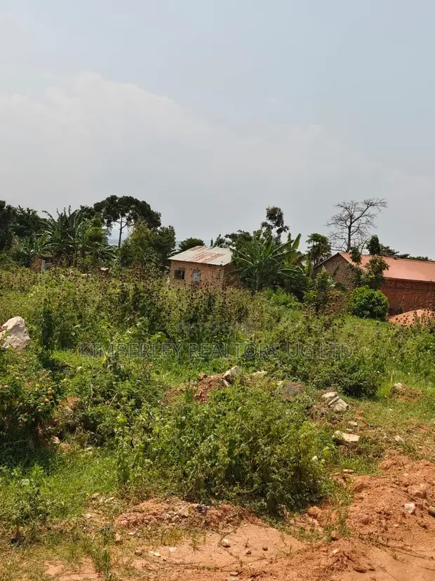 10 Acres Prime Land for Sale - Busiika, Kakoni, Busoke - 1