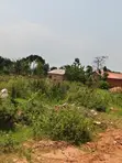 10 Acres Prime Land for Sale - Busiika, Kakoni, Busoke - 1