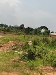 10 Acres Prime Land for Sale - Busiika, Kakoni, Busoke - 2