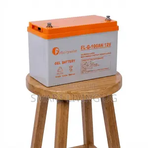 Felicity 100Ah 12V Solar Gel Battery