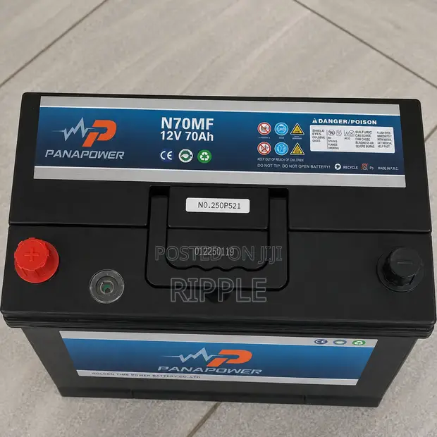 Panapower 70Ah N70MF Maintenance-Free Car Battery 12V - 1