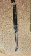 Brand New Toyota Fielder Boot Shocks - 2