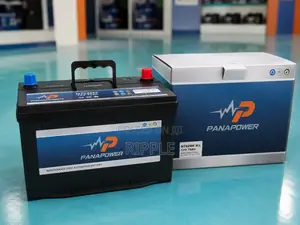 Panapower 75Ah N70ZMF Maintenance-Free Car Battery 12V