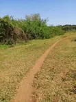 7 Acres on Lake Victoria Shores - 2