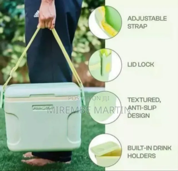Stylish Portable Cooler Bag (8L) - Multicolor - 1