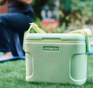 Stylish Portable Cooler Bag (8L) - Multicolor
