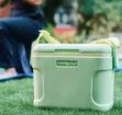 Stylish Portable Cooler Bag (8L) - Multicolor - 2