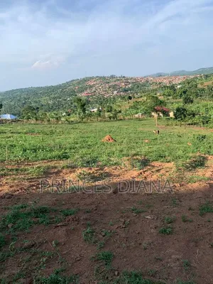 Private Mailo Land with Title in Mpigi