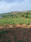 Private Mailo Land with Title in Mpigi - 1