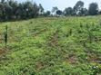 Private Mailo Land with Title in Mpigi - 3
