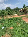 Private Mailo Land with Title in Mpigi - 4