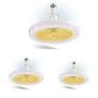 Multi-Function LED Aromatherapy Fan Light - 2