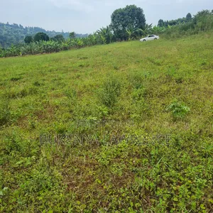 Land for Sale in Ngomanene, Gomba Road