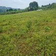 Land for Sale in Ngomanene, Gomba Road - 1