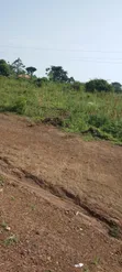 35 Acres Land for Sale in Bukeddea, Mbale - 3