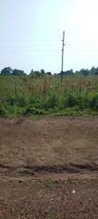 35 Acres Land for Sale in Bukeddea, Mbale - 4