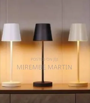 Cordless Rechargeable LED Table Lamp - Multicolor