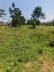Prime Plots for Sale - Gayaza Kiwenda - 3