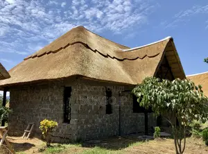 Grass Roof Restaurant Construction