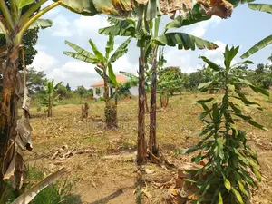 1 Acre Land for Sale - Matugga Kalasa
