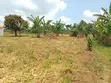 1 Acre Land for Sale - Matugga Kalasa - 5