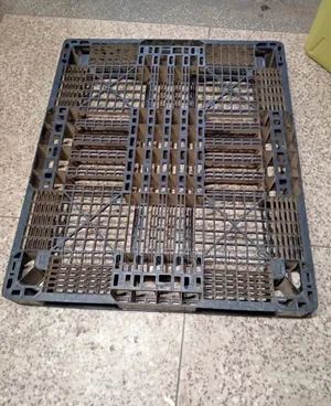 Plastic Pallets - Brand New