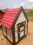 Brand New Single Door Kennels - 2