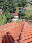 Roof Tile Cleaning and Restoration Services - 2