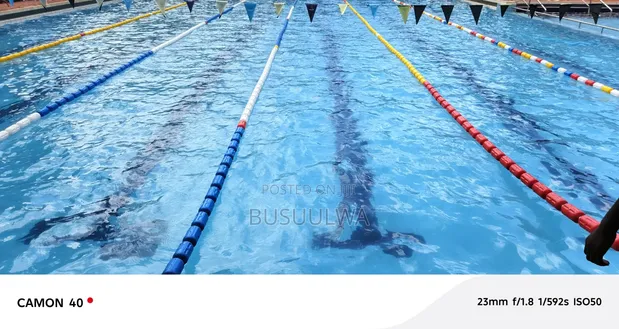 Swimming Instructor/Coach - Kids & Adults - 1