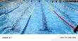 Swimming Instructor/Coach - Kids & Adults - 1
