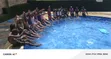 Swimming Instructor/Coach - Kids & Adults - 5