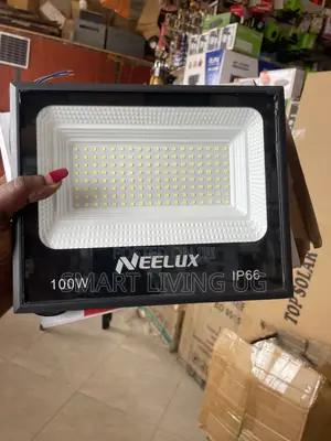 Neelux 100W LED Floodlight