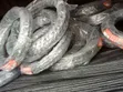 Razor Wire Atlas 8m - Legendary Roofing - 1
