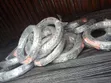 Razor Wire Atlas 8m - Legendary Roofing - 4